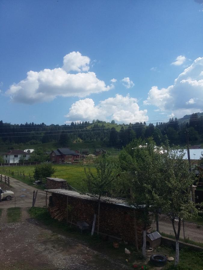 Zatushok Pid Goroyu Villa Verkhovyna Luaran gambar